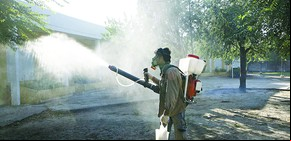 Cómo evitar que los mosquitos invadan tu hogar