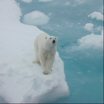 Cambio climático: qué sabe la ciencia y por qué aún se lo discute