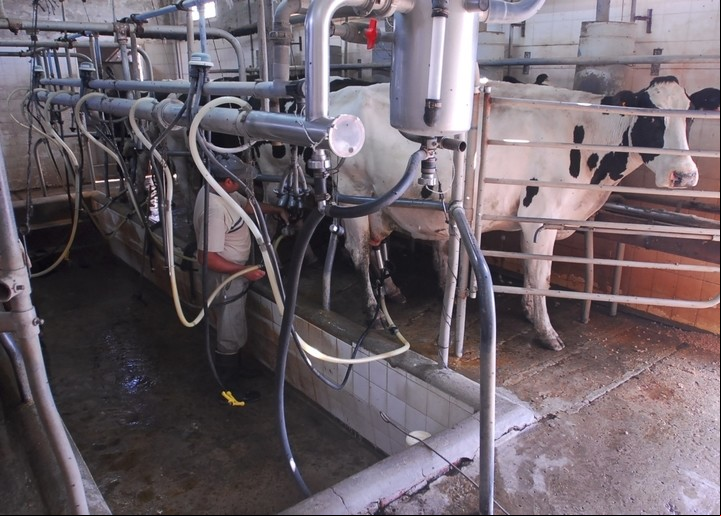 La producción argentina de leche
enfrenta el desafío de una caída de la demanda. A nivel internacional se refleja en precios, y el consumo interno cae por la recesión en la Argentina.