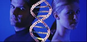 Epigenética: somos muchos más que nuestros genes