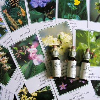 Flores de Bach: reencontrate con tus emociones