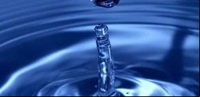El agua, un aliado en el sostén de la vida