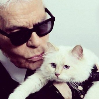 La excéntrica vida de la gata Choupette, el "centro del mundo" de Karl Lagerfeld