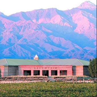 Bodegas en plan cinco estrellas