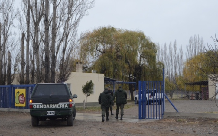 CLAIMA20150605_0139 HEBE RAJNERI Los allanamientos de gendarmeria en el galpon de empaque de donde salio la carga de fruta. (Diario Río Negro)