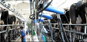 China: clave en el mercado lacteo