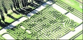 Reabren un laberinto en honor a Borges en San Rafael