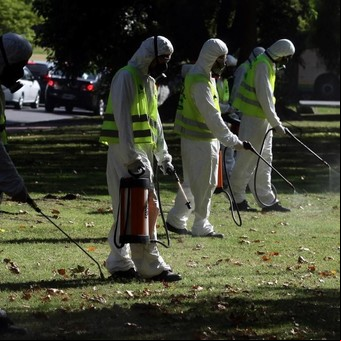 Mientras combaten el dengue, apareció el primer caso de zika