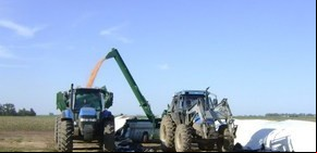 Hay US$ 20.000 millones guardados en los silobolsa
