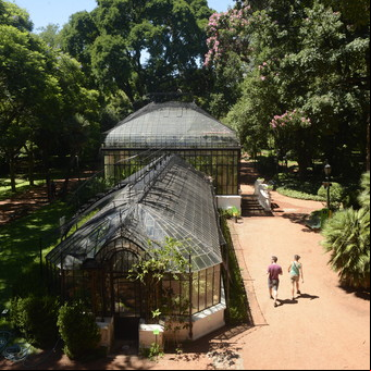 GPS Botánico: los reyes del jardín