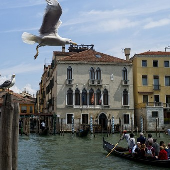 Venecia instalará "cuenta personas" para regular el turismo