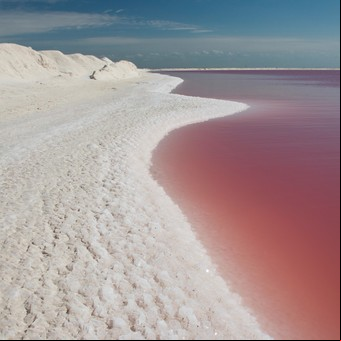 Una laguna rosa en la península de Yucatán, desde un dron