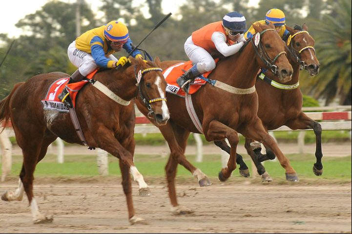 Hispanidad y Kononkop, protagonistas del proceso selectivo buscarán dejar bien paradas a las potrancas de la generación nacida en 2013. SILVANA BOEMO