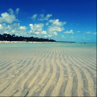 Brasil: suspenden actividades turísticas en una playa muy visitada del Nordeste