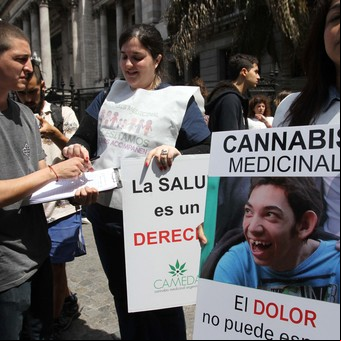 Paso a paso, qué ocurrió con la ley de cannabis medicinal a dos años de su aprobación