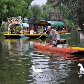 Las Chinampas de Xochimilco, en peligro de desaparecer