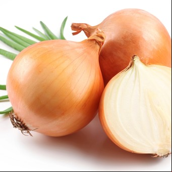 Cómo cultivar y cosechar plantas de cebolla en una huerta o en macetas