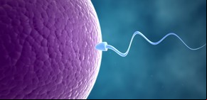 Fertilidad: la principal dificultad que afronta el 60% de las mujeres y tiene como causa la falta de información