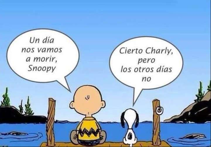 "Todos tenemos miedo a la muerte. Lo que hace una diferencia es qué hacemos con este temor", dice Schujman.