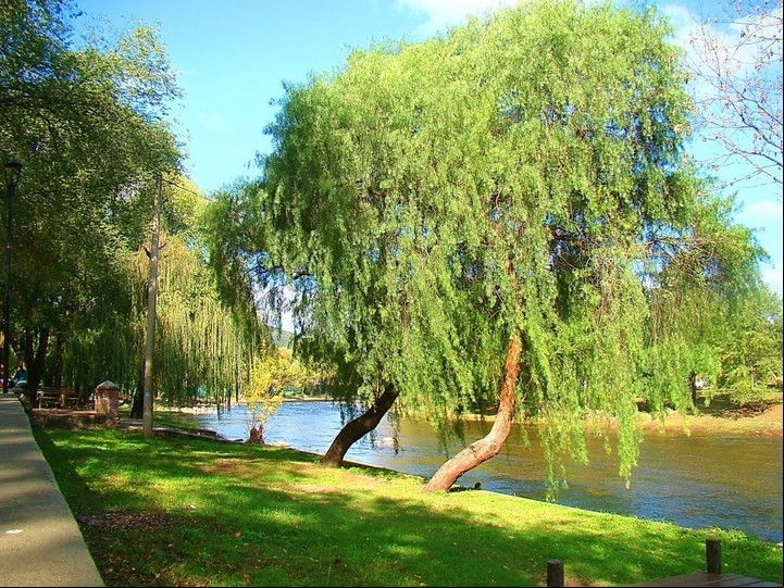 Paisaje del Valle de Calamuchita.
