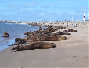 La Costa Atlántica también se disfruta en invierno