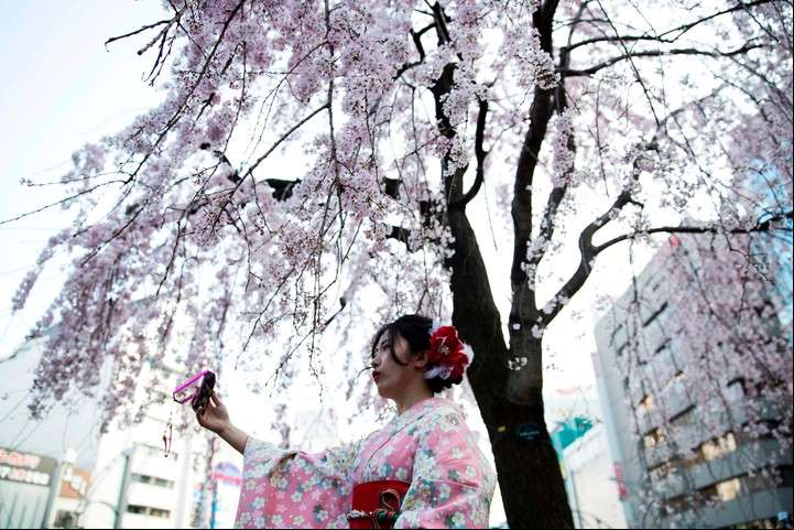 Ropa tradicional y cerezos en flor AFP PHOTO / Behrouz MEHRI