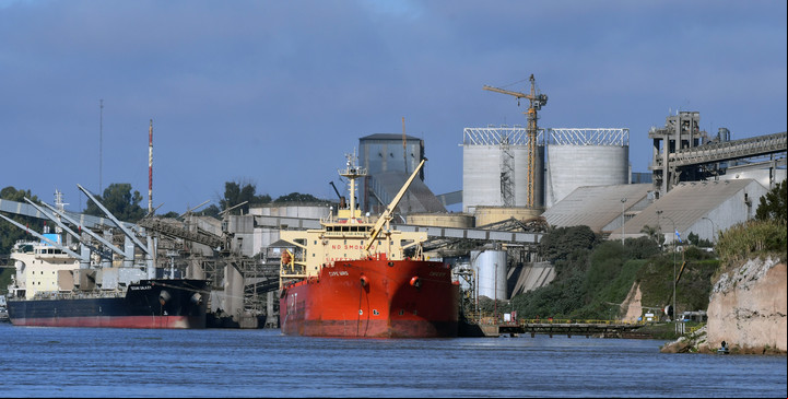 Barcos cargados con cereal en el puerto de Rosario. Foto: Juan José García.