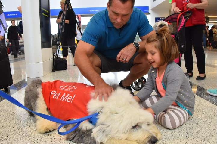 George McGeeney y su hija Mia McGeeney, mientras juegan con un perro de la organización “Mascotas Desestresando Pasajeros” (PUP), EFE/Iván Mejía