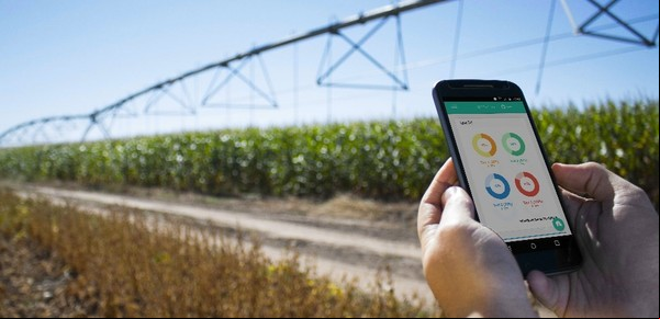 Una empresa agrícola de IRSA colocó una ON por US$ 15 millones, pero recibió ofertas por US$ 1.000 millones