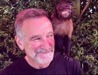 La última foto que nos dejaron 18 celebridades