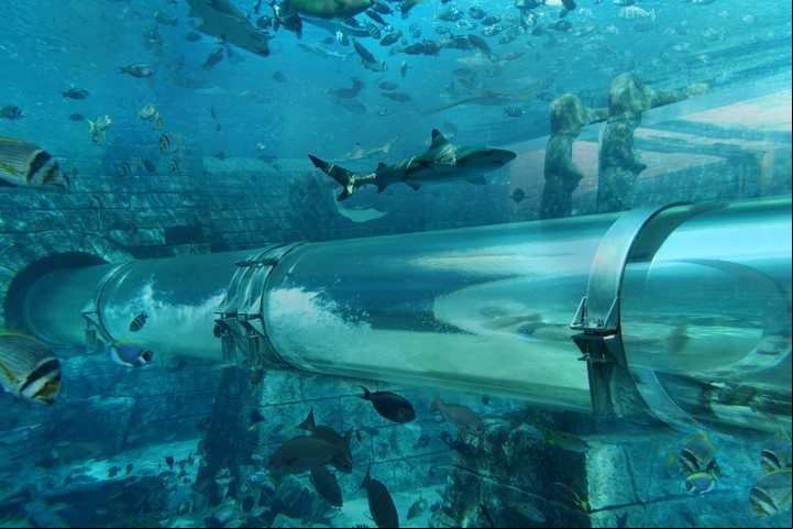 Parque acuático Aquaventure, Atlantis, The Palm