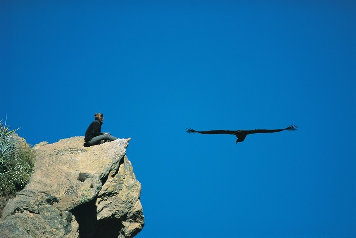 Mirador de cóndores en el Colca - Heinz Plenge