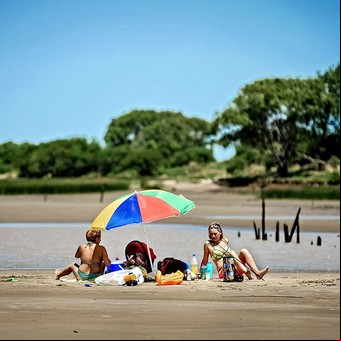 Playas y bosques junto al Río de la Plata