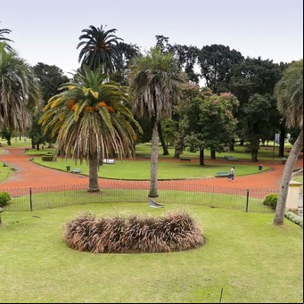 A este paso, Buenos Aires no será una "Ciudad Verde"