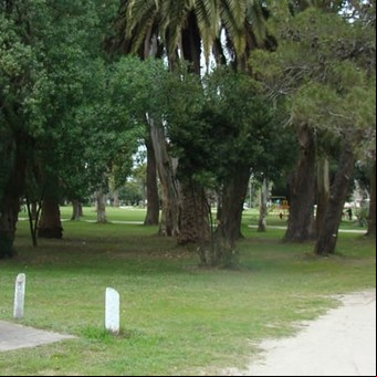 Los atractivos de General Madariaga, un pago bien gaucho