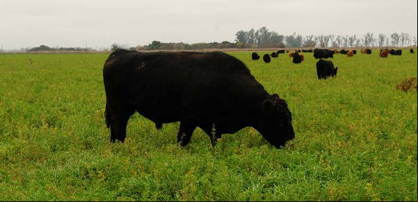 Los Angus, la familia Guerrero y su hija Felicitas
