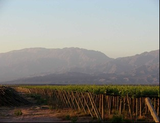La deliciosa Ruta del Vino Torrontés de La Rioja