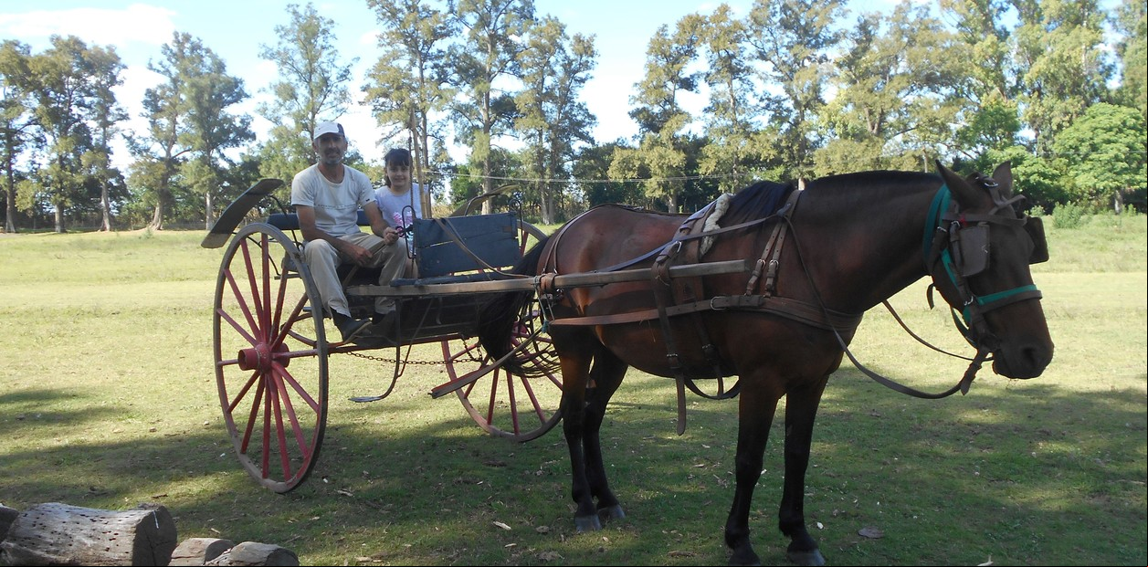 Un día de campo en San Andrés de Giles