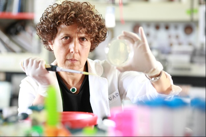En su laboratorio, Andrea Gamarnik, doctora en Bioquímica, investigadora del Conicet y directora del Instituto de Investigaciones Bioquímicas de Buenos Aires (IIBBA) del Instituto Leloir.