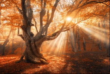 Equinoccio de otoño 2019: rituales y tips astrológicos para esta temporada