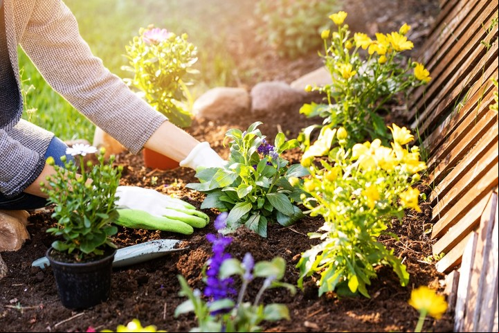 Plantas nativas: por qué el medioambiente las necesita y cuáles son las recomendadas