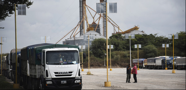 Mejoró el precio, la cosecha fluye y se aceleró la venta de soja