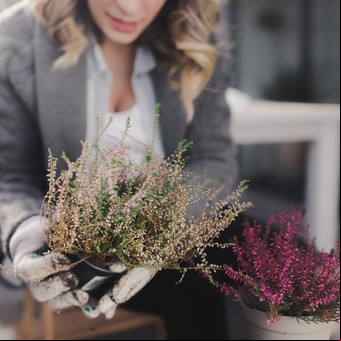 8 ideas para embellecer tu jardín en el otoño-invierno