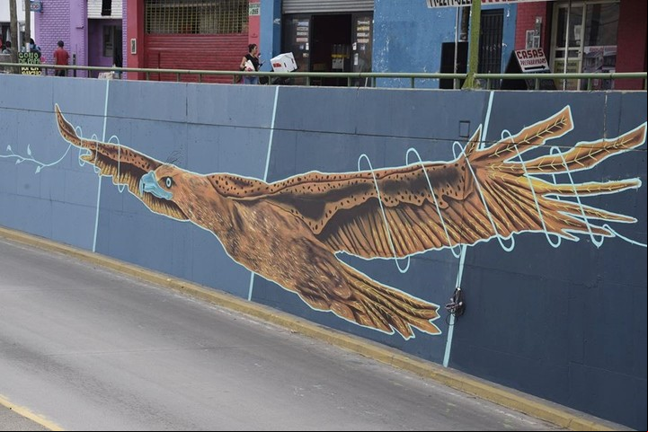 Un ave en tono marrón, en pleno vuelo, en un fondo de degradé de grises.