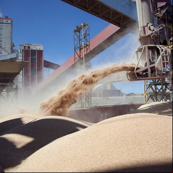 Las exportaciones de alimentos crecieron 84% en el año por la suba de los precios globales