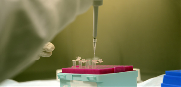 Descubren que en el país circula un clon hipervirulento de la bacteria de la faringitis