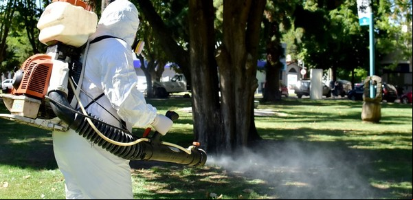 Cuáles son los síntomas del dengue, cómo prevenirlo y todo lo que tenés que saber