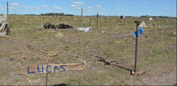 Día a día se asienta lo que sería la mayor ocupación ilegal de  tierra de la Provincia