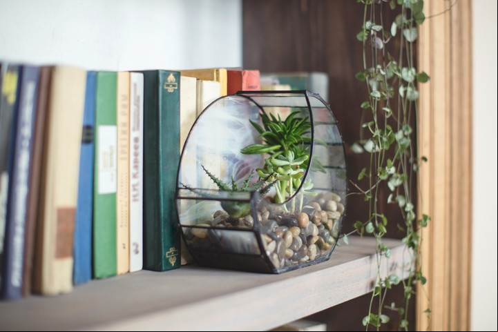 Colores y plantas para cada ambiente del hogar, según el Feng Shui. Foto: Shutterstock.