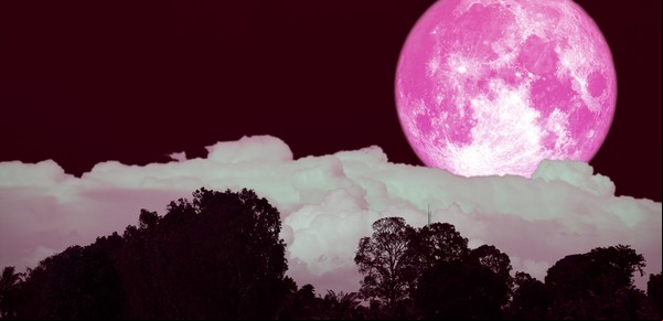 Superluna rosa de abril: significados asociados y energías para poner en juego